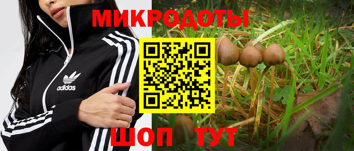 Галлюциногенные грибы Cubensis  Псилоцибиновые грибы Cubensis  Вход с VPN  Камень-на-Оби 