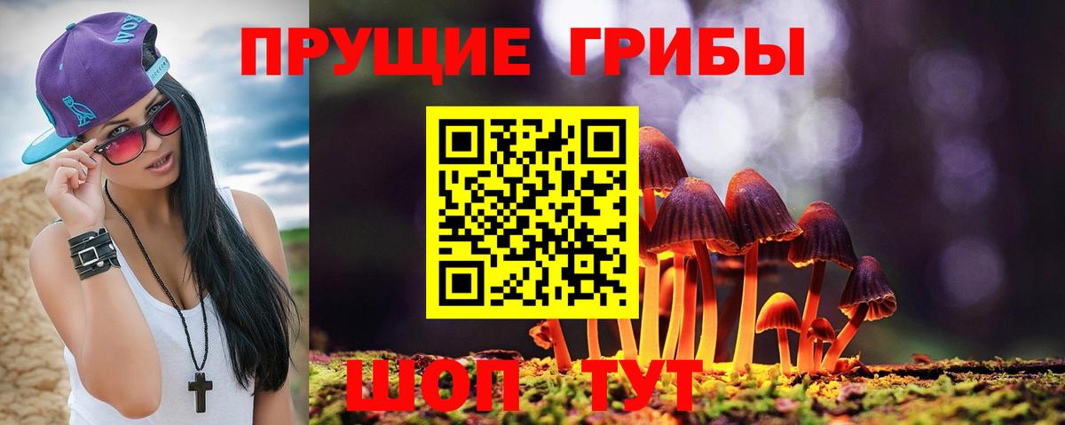 Псилоцибиновые грибы Psilocybine cubensis Камень-на-Оби